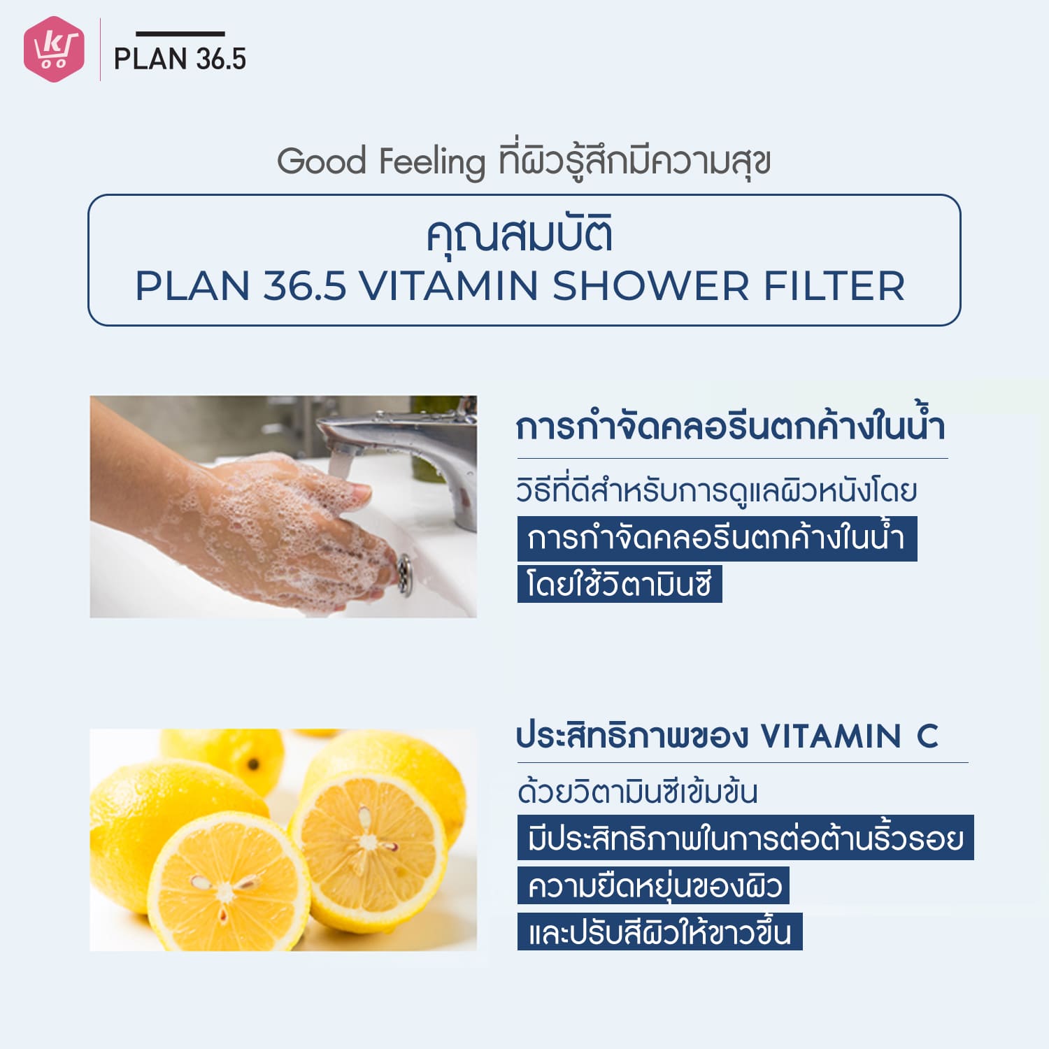 Plan 36.5 ฝักบัวกรองน้ำ ฝักบัววิตามิน ที่กรองน้ำฝักบัวจากเกาหลี กลิ่นลาเวนเดอร์ - Image 7
