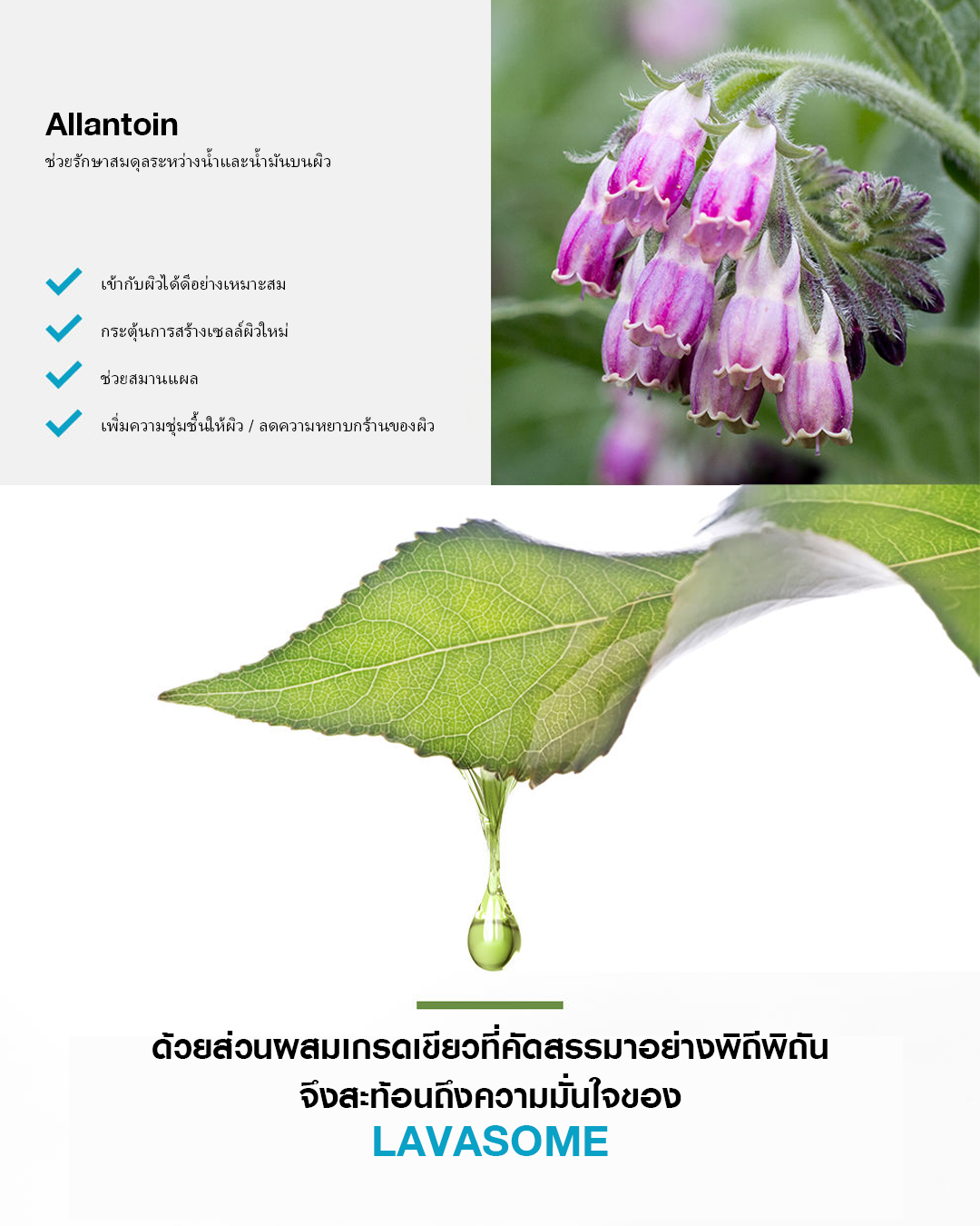 LAVASOME Green Tea Leaf Ampoule Cleanser โฟมล้างหน้าชาเขียวสูตรอ่อนโยน - Image 8