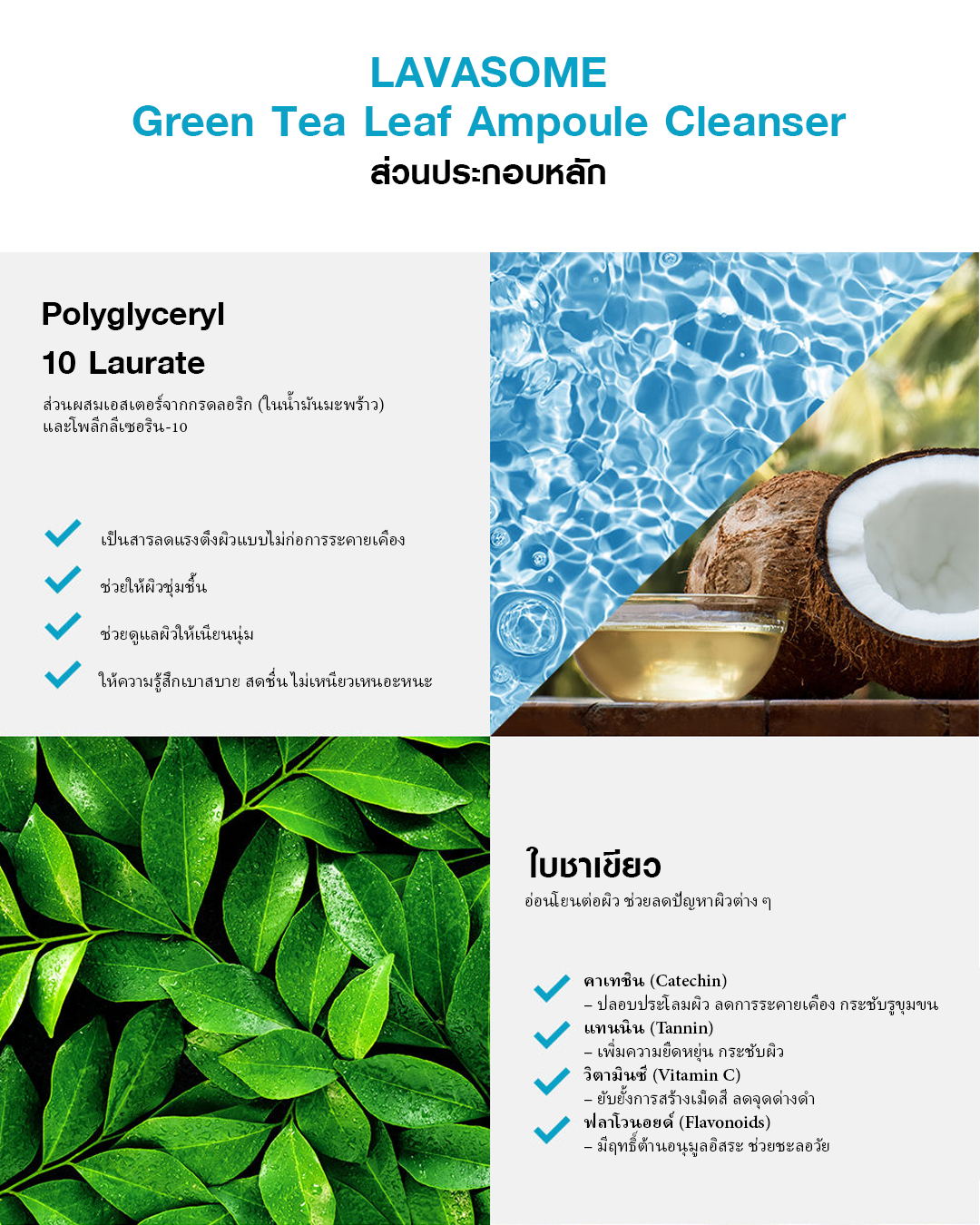 LAVASOME Green Tea Leaf Ampoule Cleanser โฟมล้างหน้าชาเขียวสูตรอ่อนโยน - Image 6