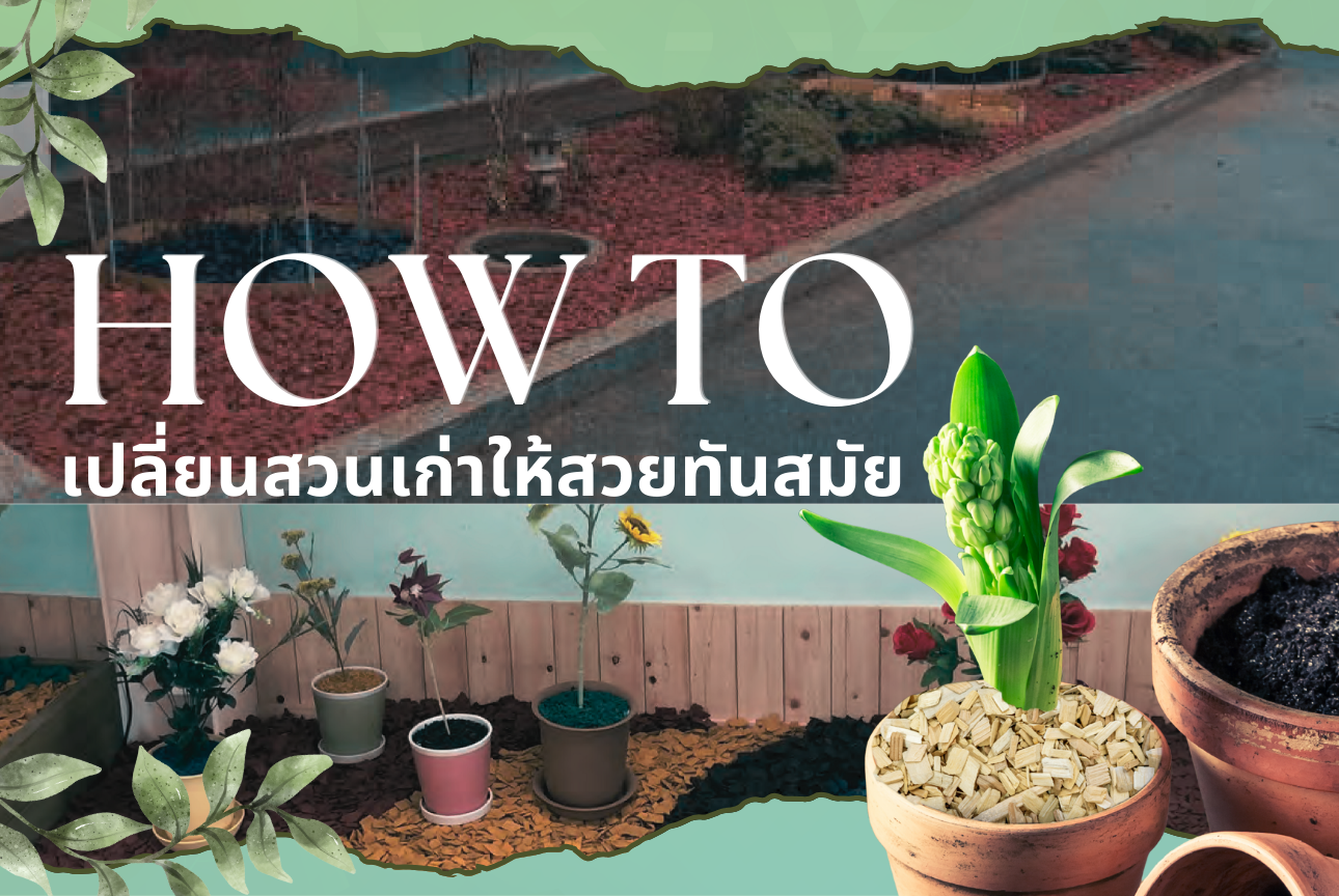 HOW TO เปลี่ยนสวนเก่าให้สวยทันสมัย🌿