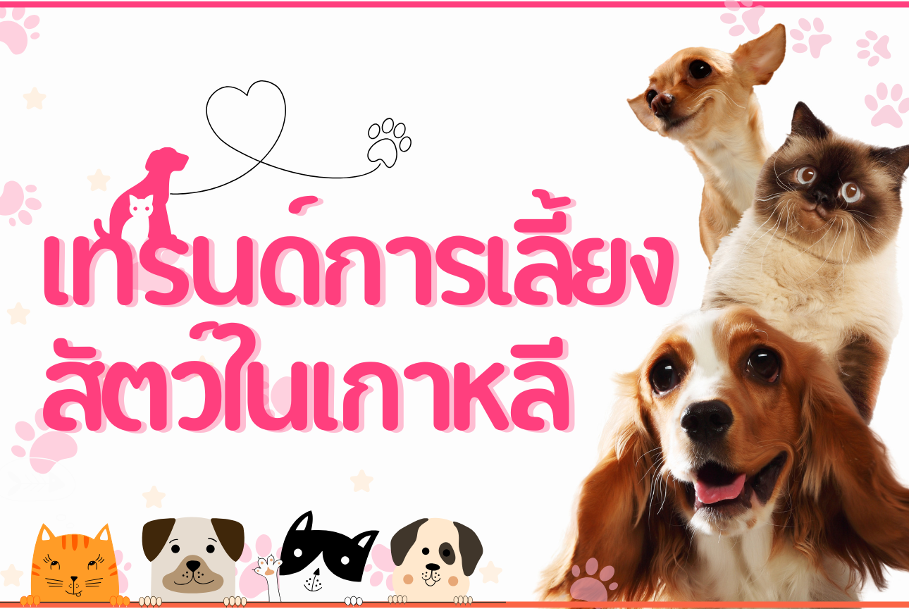 เทรนด์การเลี้ยงสัตว์ในเกาหลี:จาก สัตว์เลี้ยง สู่ เพื่อนร่วมชีวิต🐾