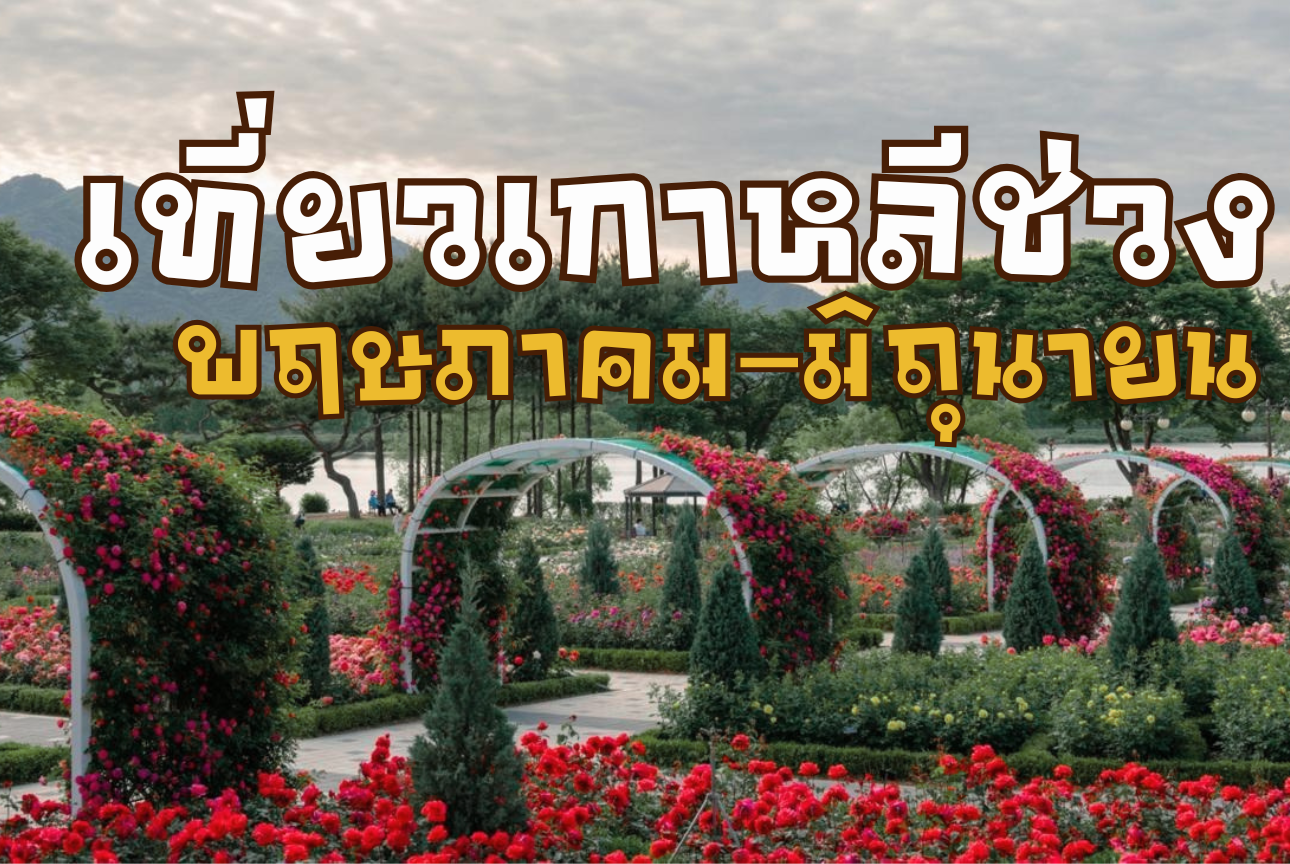 เที่ยวเกาหลีช่วงพฤษภาคม–มิถุนายน