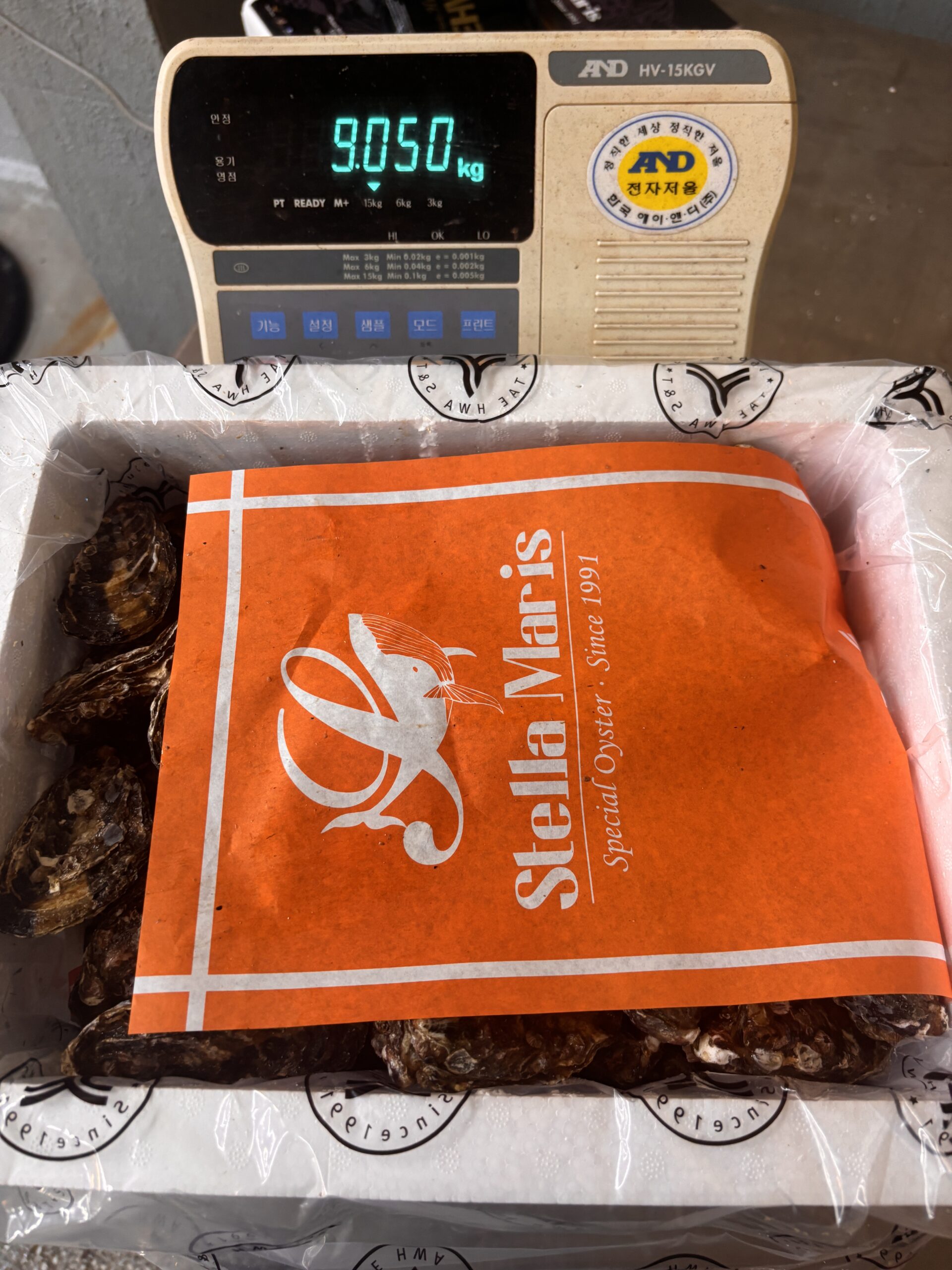 FRESH/LIVE PACIFIC OYSTER (TRIPLOID) หอยนางรมแปซิฟิกสด - Image 2