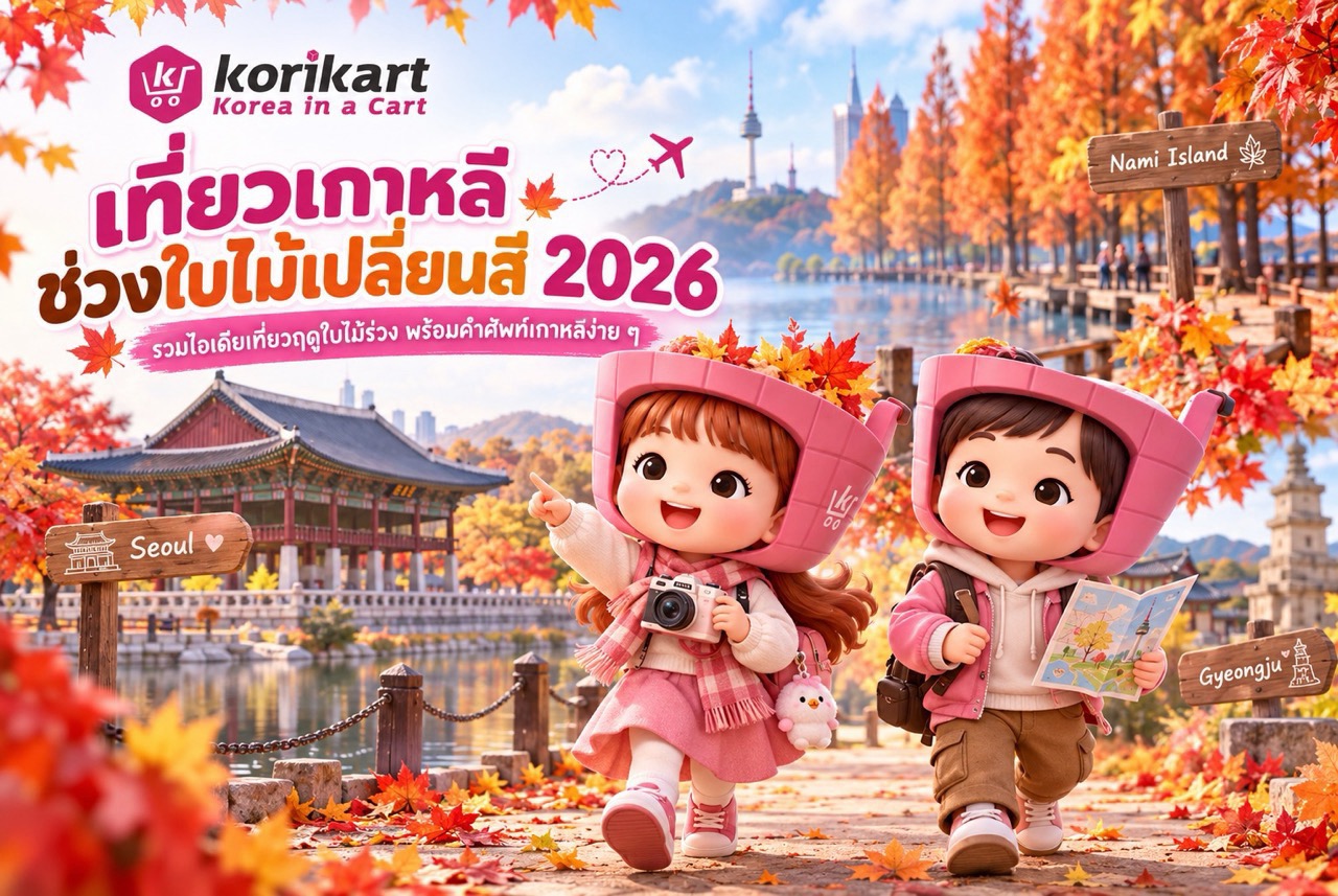 เที่ยวเกาหลีช่วงใบไม้เปลี่ยนสี 2026